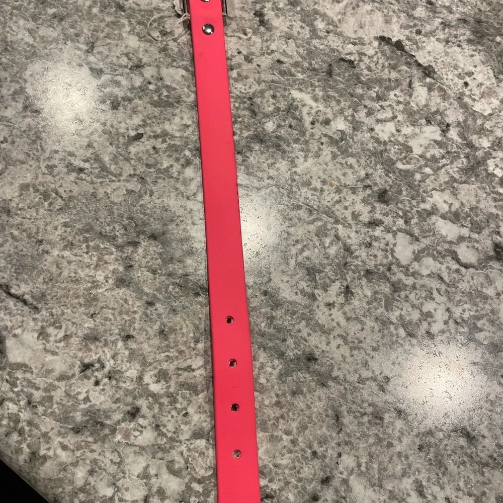 Biothane fluorescent pink dog collar with Silver Buckle size 12-15 inch  New.